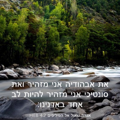 Picture 03 - אגרת שאול אל הפיליפים 4:2 HEB - את אבהודיה אני מזהיר ואת - Bible Verse Picture