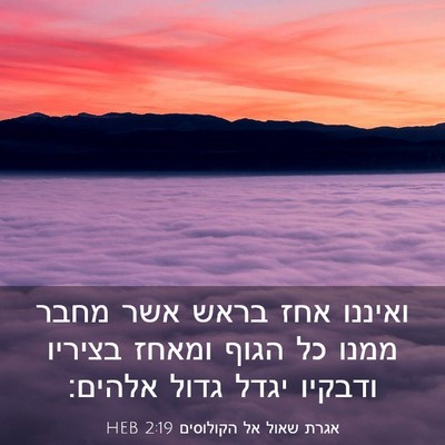 Picture 03 - אגרת שאול אל הקולוסים 2:19 HEB - ואיננו אחז בראש אשר מחבר - Bible Verse Picture