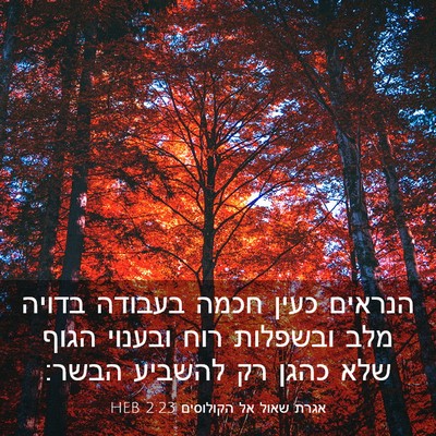 Picture 03 - אגרת שאול אל הקולוסים 2:23 HEB - הנראים כעין חכמה בעבודה - Bible Verse Picture