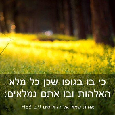 Picture 03 - אגרת שאול אל הקולוסים 2:9 HEB - כי בו בגופו שכן כל מלא - Bible Verse Picture