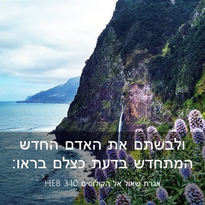 Picture 03 - אגרת שאול אל הקולוסים 3:10 HEB - ולבשתם את האדם החדש המתחדש - Bible Verse Picture