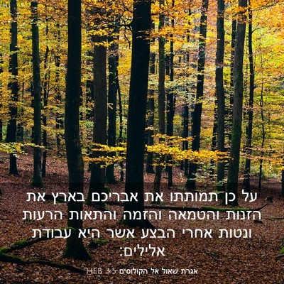 Picture 03 - אגרת שאול אל הקולוסים 3:5 HEB - על כן תמותתו את אבריכם בארץ - Bible Verse Picture