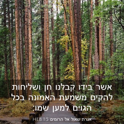 Picture 03 - אגרת שאול אל הרומים 1:5 HEB - אשר בידו קבלנו חן ושליחות - Bible Verse Picture