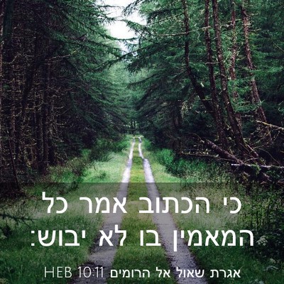 Picture 03 - אגרת שאול אל הרומים 10:11 HEB - כי הכתוב אמר כל המאמין בו - Bible Verse Picture