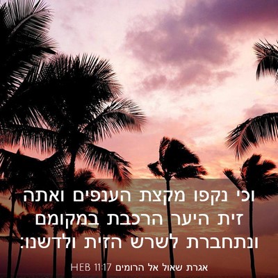 Picture 03 - אגרת שאול אל הרומים 11:17 HEB - וכי נקפו מקצת הענפים ואתה - Bible Verse Picture