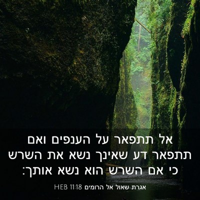 Picture 03 - אגרת שאול אל הרומים 11:18 HEB - אל תתפאר על הענפים ואם - Bible Verse Picture