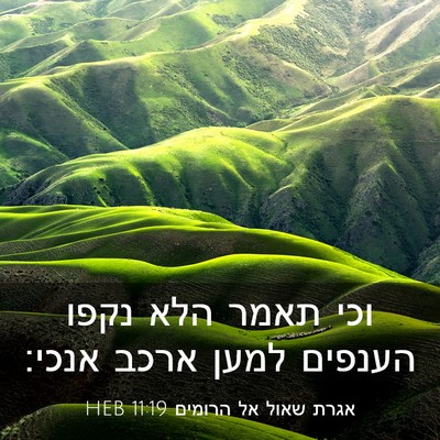 Picture 03 - אגרת שאול אל הרומים 11:19 HEB - וכי תאמר הלא נקפו הענפים - Bible Verse Picture