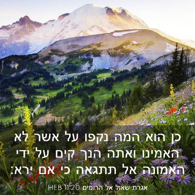 Picture 03 - אגרת שאול אל הרומים 11:20 HEB - כן הוא המה נקפו על אשר לא - Bible Verse Picture