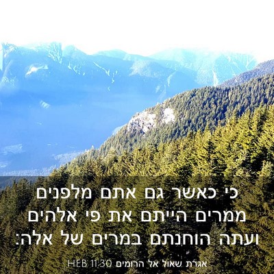 Picture 03 - אגרת שאול אל הרומים 11:30 HEB - כי כאשר גם אתם מלפנים ממרים - Bible Verse Picture