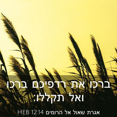 Picture 03 - אגרת שאול אל הרומים 12:14 HEB - ברכו את רדפיכם ברכו ואל - Bible Verse Picture
