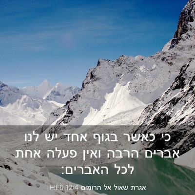 Picture 03 - אגרת שאול אל הרומים 12:4 HEB - כי כאשר בגוף אחד יש לנו - Bible Verse Picture