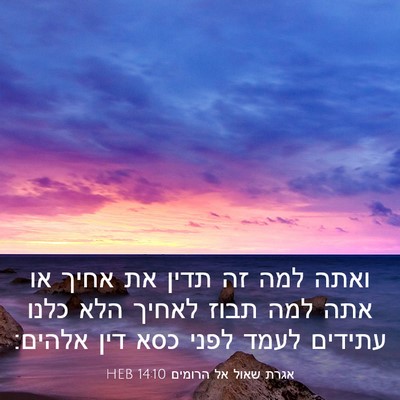Picture 03 - אגרת שאול אל הרומים 14:10 HEB - ואתה למה זה תדין את אחיך או - Bible Verse Picture