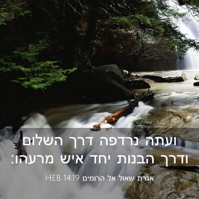 Picture 03 - אגרת שאול אל הרומים 14:19 HEB - ועתה נרדפה דרך השלום ודרך - Bible Verse Picture
