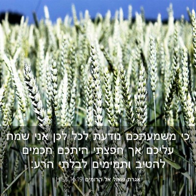Picture 03 - אגרת שאול אל הרומים 16:19 HEB - כי משמעתכם נודעת לכל לכן - Bible Verse Picture