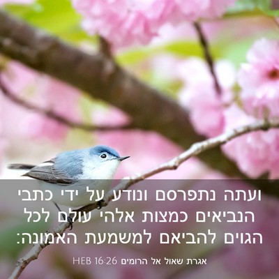 Picture 03 - אגרת שאול אל הרומים 16:26 HEB - ועתה נתפרסם ונודע על ידי - Bible Verse Picture