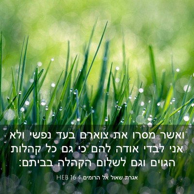 Picture 03 - אגרת שאול אל הרומים 16:4 HEB - ואשר מסרו את צוארם בעד נפשי - Bible Verse Picture
