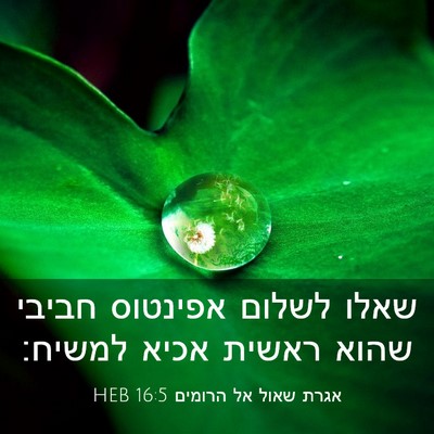 Picture 03 - אגרת שאול אל הרומים 16:5 HEB - שאלו לשלום אפינטוס חביבי - Bible Verse Picture