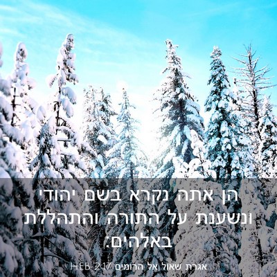 Picture 03 - אגרת שאול אל הרומים 2:17 HEB - הן אתה נקרא בשם יהודי - Bible Verse Picture
