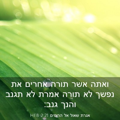 Picture 03 - אגרת שאול אל הרומים 2:21 HEB - ואתה אשר תורה אחרים את נפשך - Bible Verse Picture