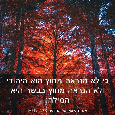 Picture 03 - אגרת שאול אל הרומים 2:28 HEB - כי לא הנראה מחוץ הוא היהודי - Bible Verse Picture