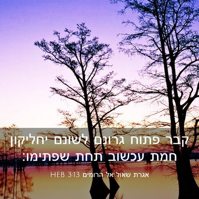 Picture 03 - אגרת שאול אל הרומים 3:13 HEB - קבר פתוח גרונם לשונם - Bible Verse Picture