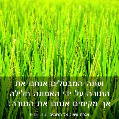 Picture 03 - אגרת שאול אל הרומים 3:31 HEB - ועתה המבטלים אנחנו את - Bible Verse Picture