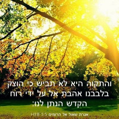 Picture 03 - אגרת שאול אל הרומים 5:5 HEB - והתקוה היא לא תביש כי הוצק - Bible Verse Picture
