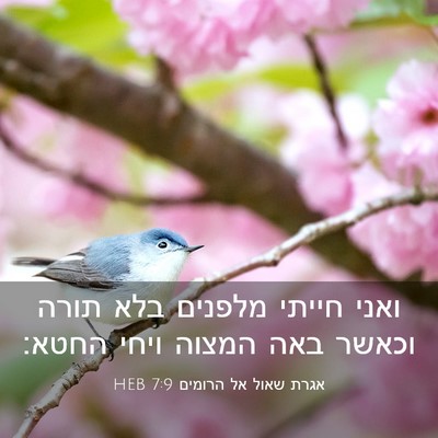 Picture 03 - אגרת שאול אל הרומים 7:9 HEB - ואני חייתי מלפנים בלא תורה - Bible Verse Picture