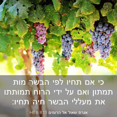 Picture 03 - אגרת שאול אל הרומים 8:13 HEB - כי אם תחיו לפי הבשר מות - Bible Verse Picture