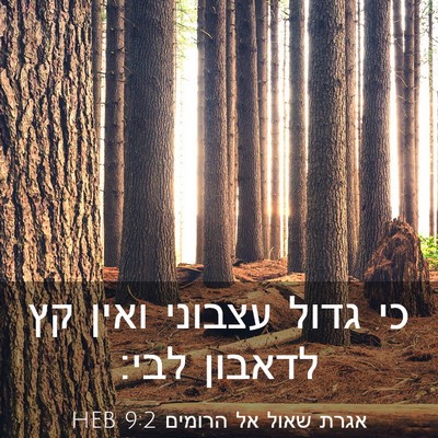 Picture 03 - אגרת שאול אל הרומים 9:2 HEB - כי גדול עצבוני ואין קץ - Bible Verse Picture