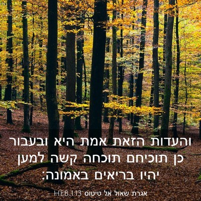 Picture 03 - אגרת שאול אל טיטוס 1:13 HEB - והעדות הזאת אמת היא ובעבור - Bible Verse Picture