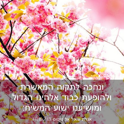 Picture 03 - אגרת שאול אל טיטוס 2:13 HEB - ונחכה לתקוה המאשרת ולהופעת - Bible Verse Picture
