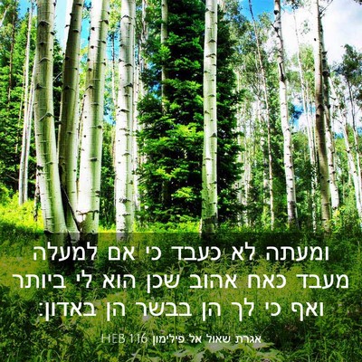 Picture 03 - אגרת שאול אל פילימון 1:16 HEB - ומעתה לא כעבד כי אם למעלה - Bible Verse Picture