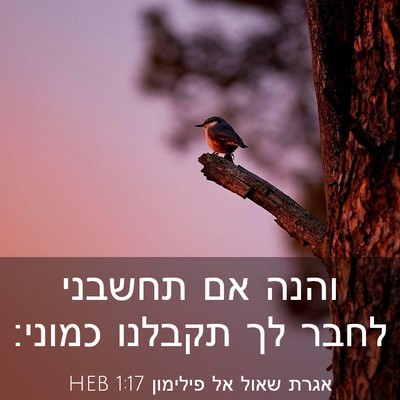 Picture 03 - אגרת שאול אל פילימון 1:17 HEB - והנה אם תחשבני לחבר לך - Bible Verse Picture