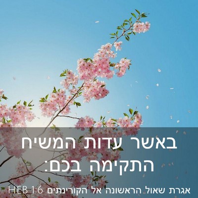 Picture 03 - אגרת שאול הראשונה אל הקורינתים 1:6 HEB - באשר עדות המשיח התקימה - Bible Verse Picture