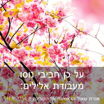 Picture 03 - אגרת שאול הראשונה אל הקורינתים 10:14 HEB - על כן חביבי נוסו מעבודת - Bible Verse Picture