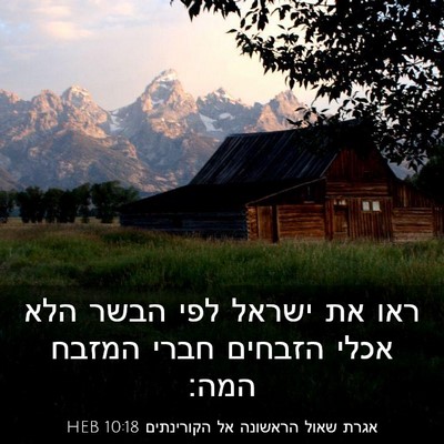 Picture 03 - אגרת שאול הראשונה אל הקורינתים 10:18 HEB - ראו את ישראל לפי הבשר הלא - Bible Verse Picture