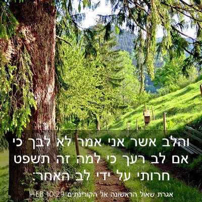 Picture 03 - אגרת שאול הראשונה אל הקורינתים 10:29 HEB - והלב אשר אני אמר לא לבך כי - Bible Verse Picture