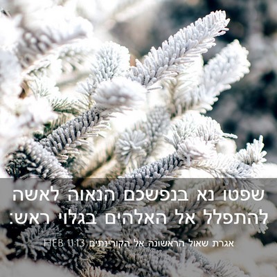 Picture 03 - אגרת שאול הראשונה אל הקורינתים 11:13 HEB - שפטו נא בנפשכם הנאוה לאשה - Bible Verse Picture