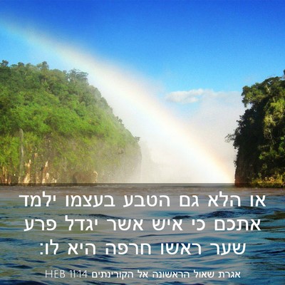 Picture 03 - אגרת שאול הראשונה אל הקורינתים 11:14 HEB - או הלא גם הטבע בעצמו ילמד - Bible Verse Picture