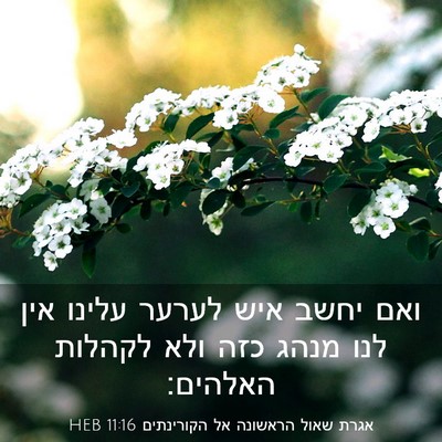 Picture 03 - אגרת שאול הראשונה אל הקורינתים 11:16 HEB - ואם יחשב איש לערער עלינו - Bible Verse Picture