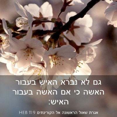 Picture 03 - אגרת שאול הראשונה אל הקורינתים 11:9 HEB - גם לא נברא האיש בעבור האשה - Bible Verse Picture