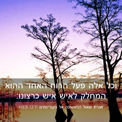 Picture 03 - אגרת שאול הראשונה אל הקורינתים 12:11 HEB - וכל אלה פעל הרוח האחד ההוא - Bible Verse Picture