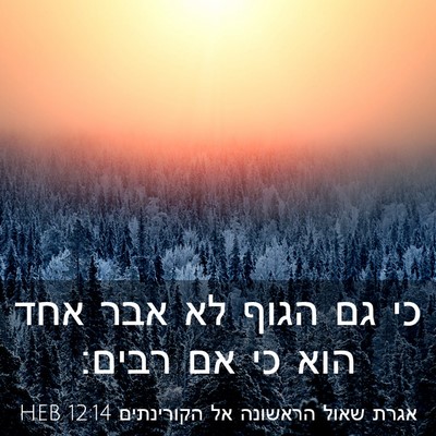 Picture 03 - אגרת שאול הראשונה אל הקורינתים 12:14 HEB - כי גם הגוף לא אבר אחד הוא כי - Bible Verse Picture