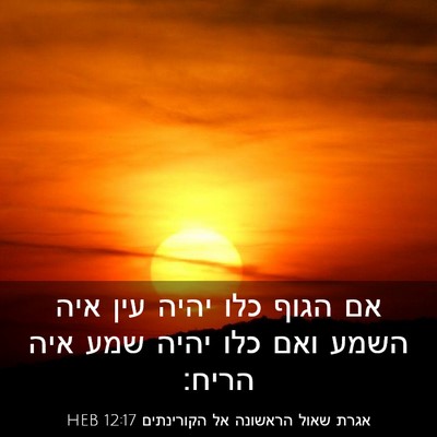Picture 03 - אגרת שאול הראשונה אל הקורינתים 12:17 HEB - אם הגוף כלו יהיה עין איה - Bible Verse Picture