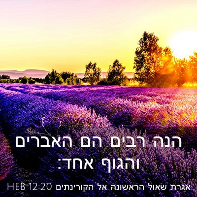 Picture 03 - אגרת שאול הראשונה אל הקורינתים 12:20 HEB - הנה רבים הם האברים והגוף - Bible Verse Picture