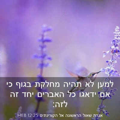 Picture 03 - אגרת שאול הראשונה אל הקורינתים 12:25 HEB - למען לא תהיה מחלקת בגוף כי - Bible Verse Picture