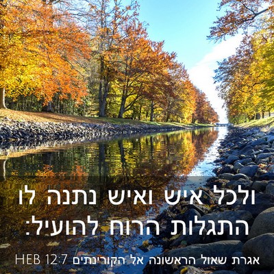 Picture 03 - אגרת שאול הראשונה אל הקורינתים 12:7 HEB - ולכל איש ואיש נתנה לו - Bible Verse Picture