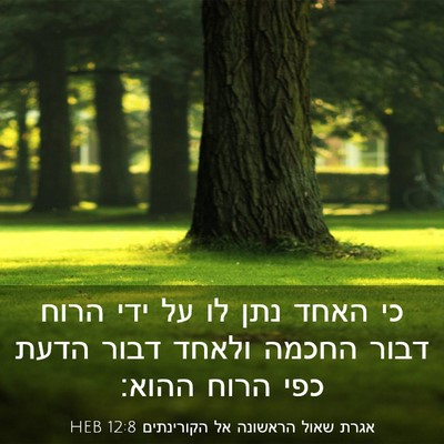 Picture 03 - אגרת שאול הראשונה אל הקורינתים 12:8 HEB - כי האחד נתן לו על ידי הרוח - Bible Verse Picture