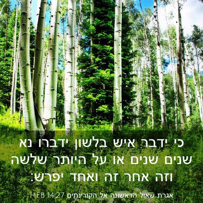 Picture 03 - אגרת שאול הראשונה אל הקורינתים 14:27 HEB - כי ידבר איש בלשון ידברו נא - Bible Verse Picture